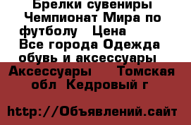 Брелки-сувениры Чемпионат Мира по футболу › Цена ­ 399 - Все города Одежда, обувь и аксессуары » Аксессуары   . Томская обл.,Кедровый г.
